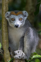 Madagascar 2022